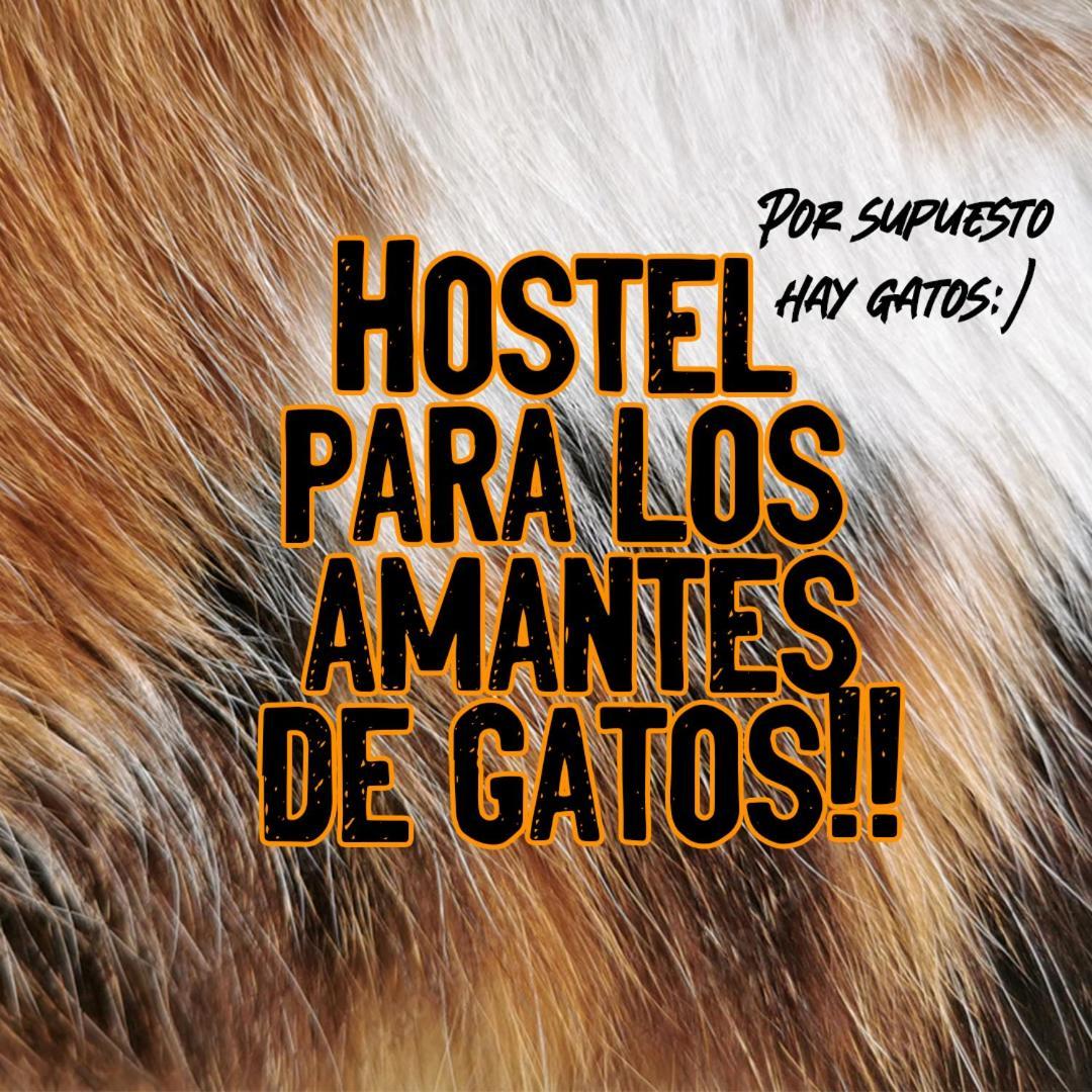 Bed and Breakfast Posada De Los Gatos Пуерто-Наталес Екстер'єр фото